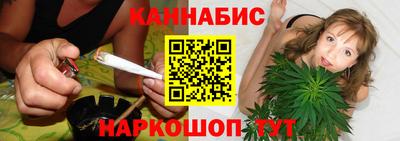 Альфа ПВП Ачхой-Мартан