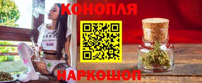 Альфа ПВП Ачхой-Мартан