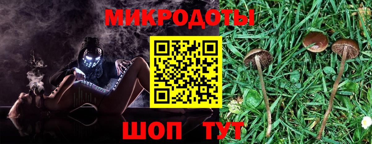 Псилоцибиновые грибы Psilocybe  Псилоцибиновые грибы мухоморы  Дмитров  Вход с VPN 
